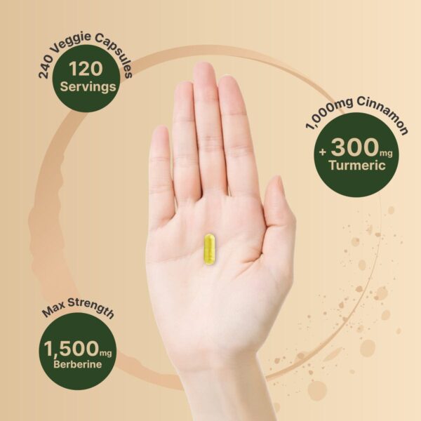 NatureBell Berberine Supplement 1500mg – 240 Veggie Capsules - Image 3